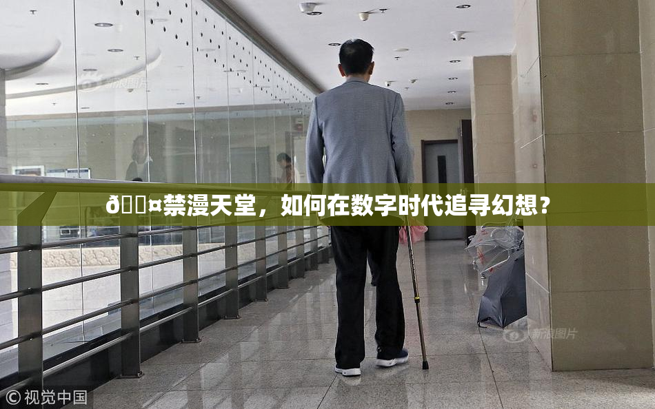 🖤禁漫天堂，如何在数字时代追寻幻想？