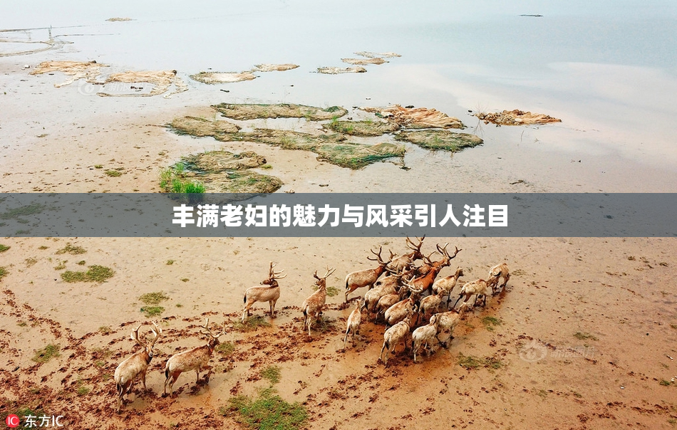 丰满老妇的魅力与风采引人注目