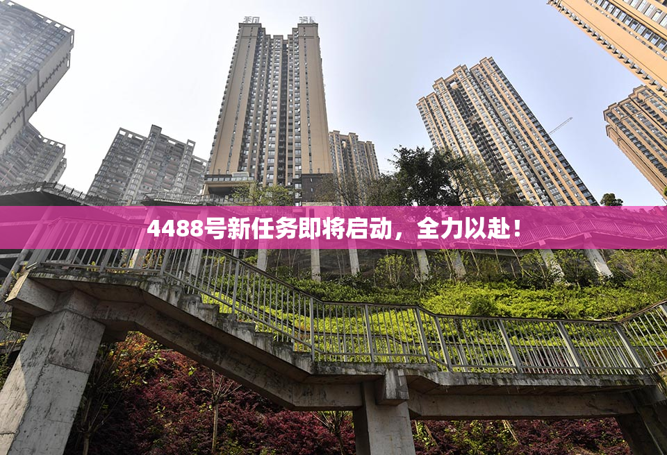 4488号新任务即将启动，全力以赴！