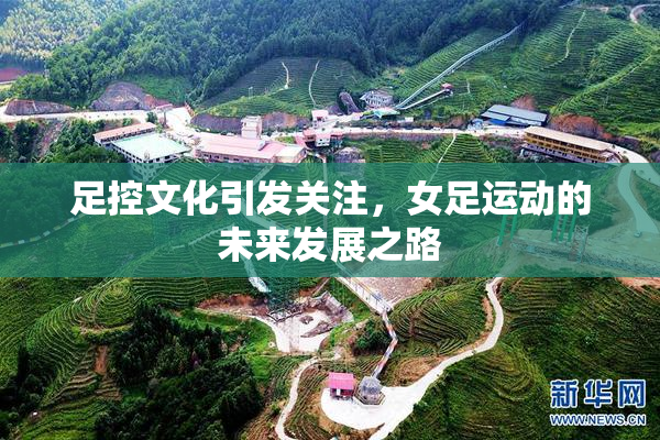 足控文化引发关注，女足运动的未来发展之路