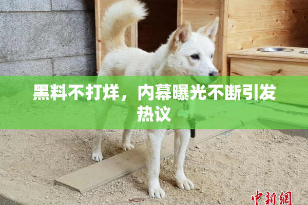 黑料不打烊，内幕曝光不断引发热议