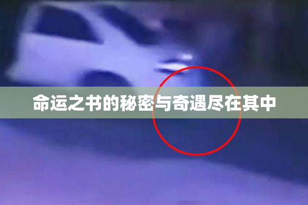 命运之书的秘密与奇遇尽在其中