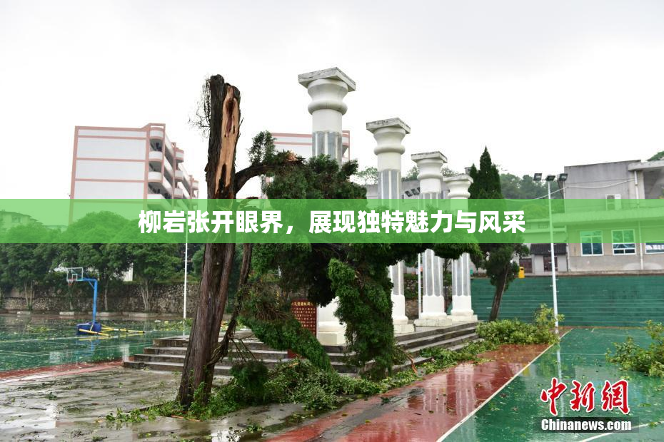 柳岩张开眼界，展现独特魅力与风采