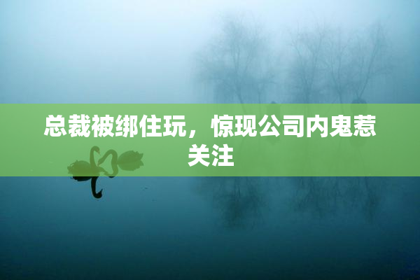 总裁被绑住玩，惊现公司内鬼惹关注