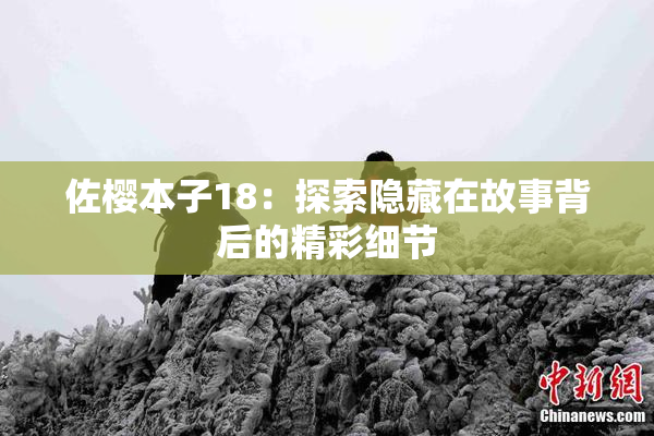 佐樱本子18：探索隐藏在故事背后的精彩细节