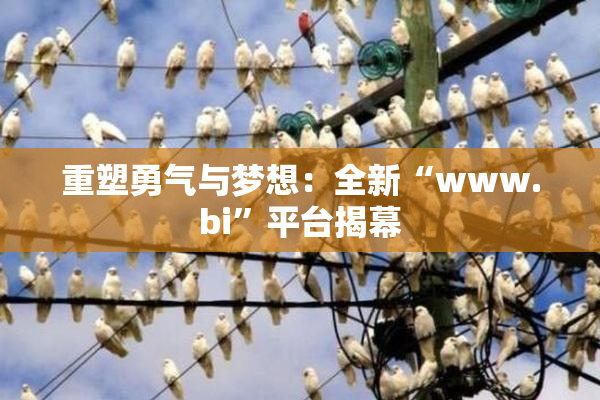 重塑勇气与梦想：全新“www.bi”平台揭幕