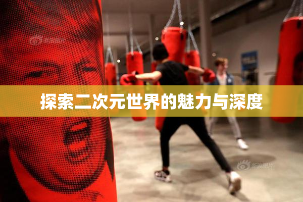 探索二次元世界的魅力与深度