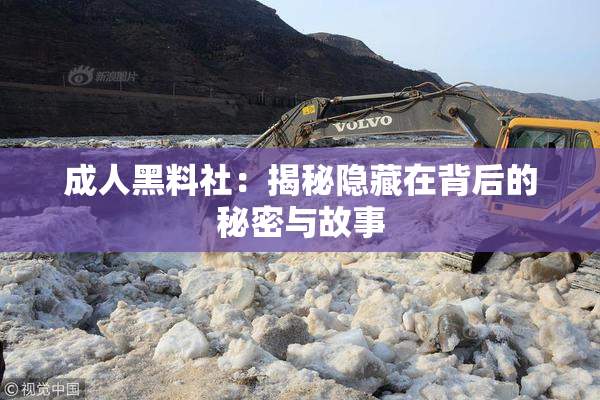 成人黑料社：揭秘隐藏在背后的秘密与故事