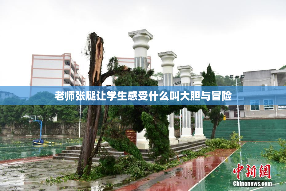 老师张腿让学生感受什么叫大胆与冒险