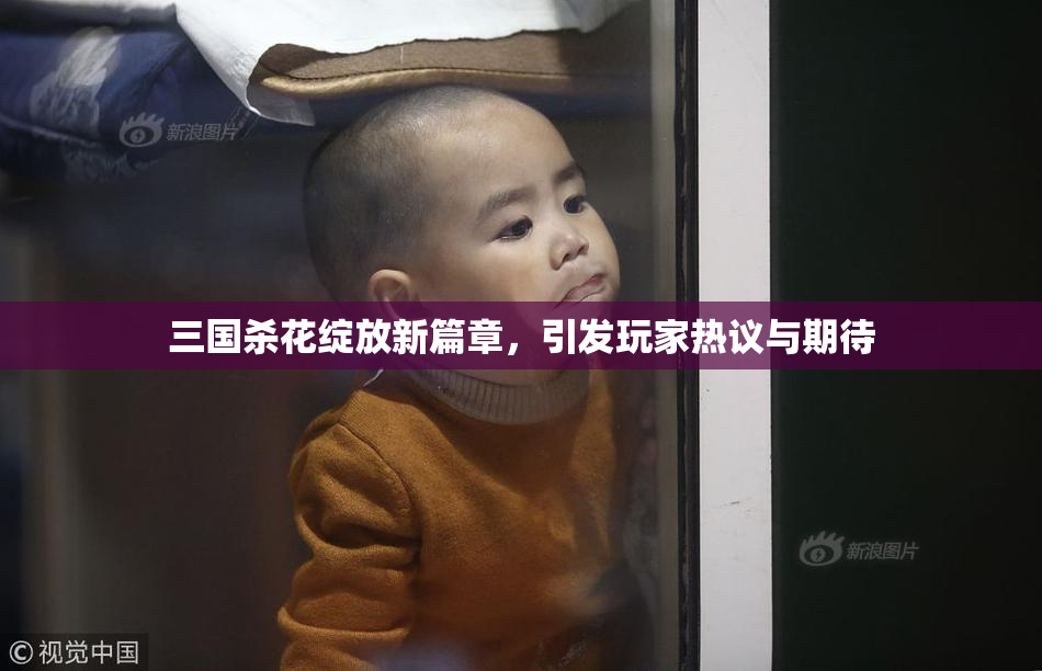 三国杀花绽放新篇章，引发玩家热议与期待