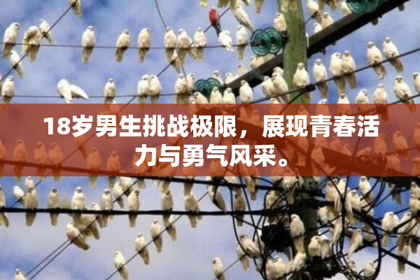 18岁男生挑战极限，展现青春活力与勇气风采。