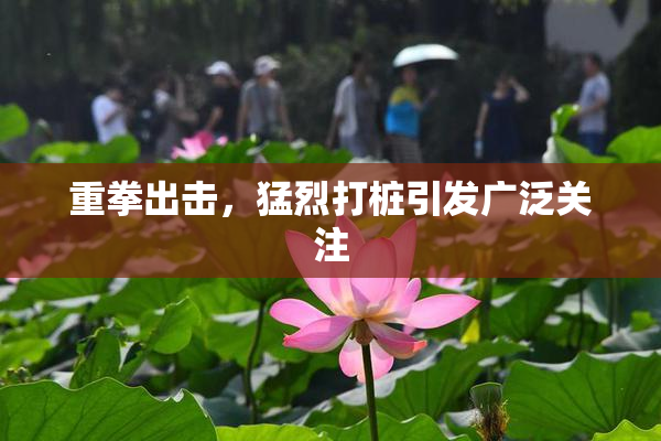 重拳出击，猛烈打桩引发广泛关注
