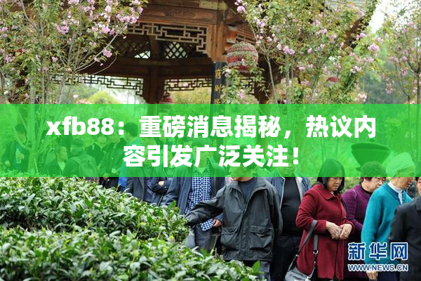 xfb88：重磅消息揭秘，热议内容引发广泛关注！