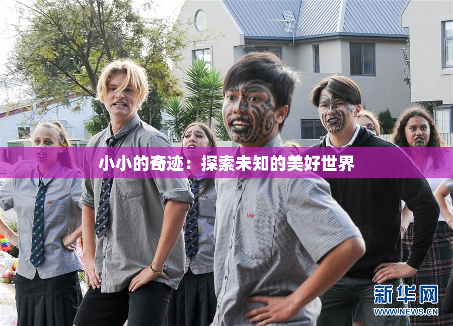 小小的奇迹：探索未知的美好世界