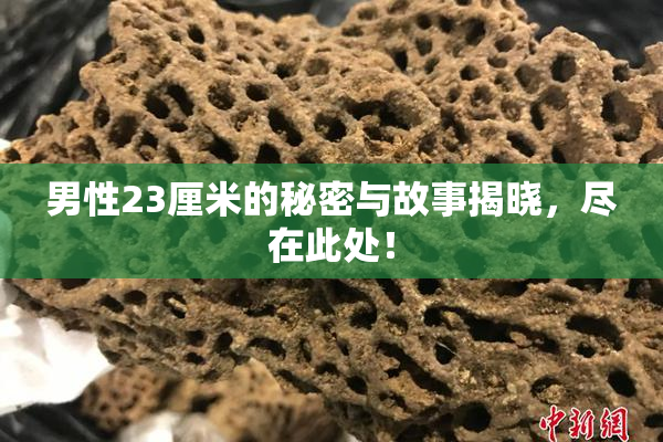 男性23厘米的秘密与故事揭晓，尽在此处！