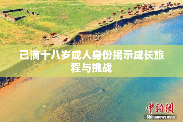 已满十八岁成人身份揭示成长旅程与挑战