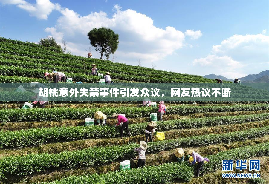 胡桃意外失禁事件引发众议，网友热议不断