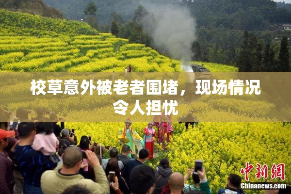 校草意外被老者围堵，现场情况令人担忧