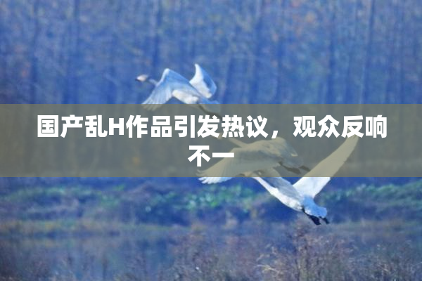 国产乱H作品引发热议，观众反响不一