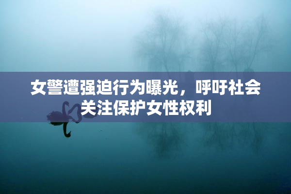 女警遭强迫行为曝光，呼吁社会关注保护女性权利