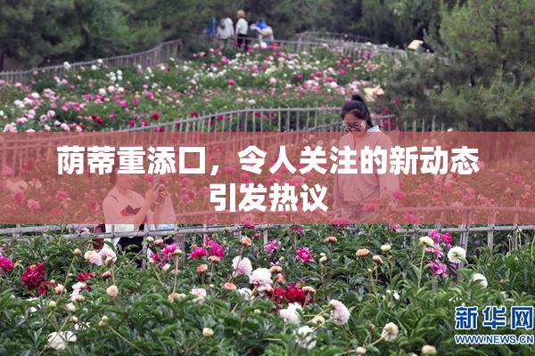 荫蒂重添囗，令人关注的新动态引发热议