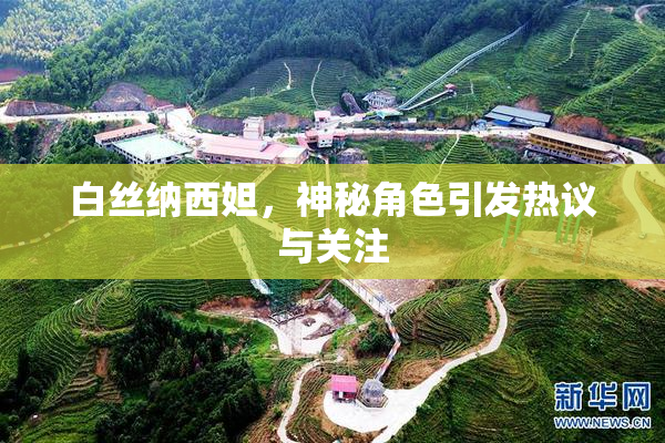 白丝纳西妲，神秘角色引发热议与关注