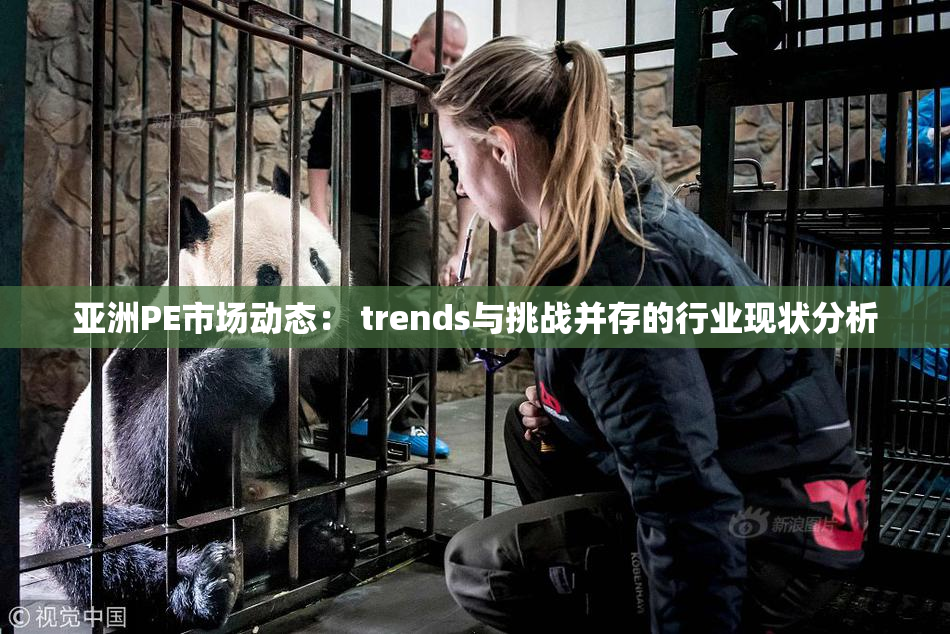 亚洲PE市场动态： trends与挑战并存的行业现状分析