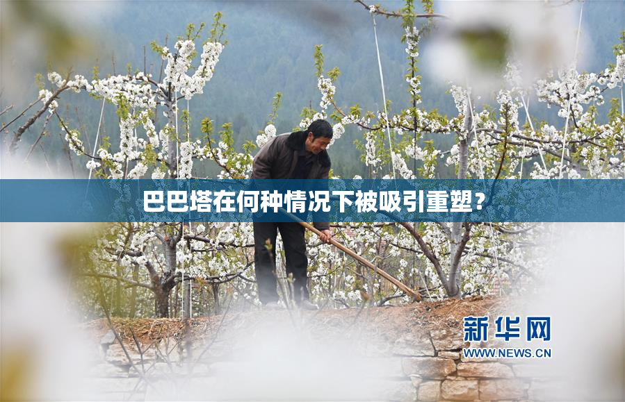 巴巴塔在何种情况下被吸引重塑？