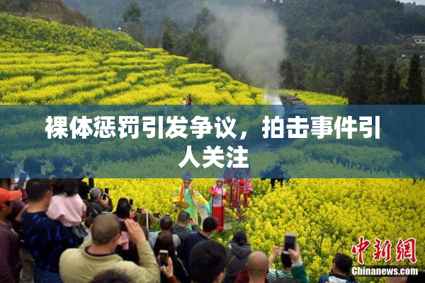裸体惩罚引发争议，拍击事件引人关注