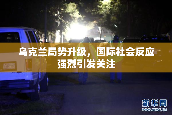 乌克兰局势升级，国际社会反应强烈引发关注
