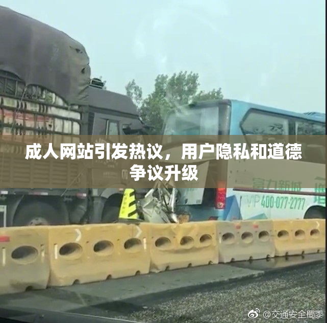 成人网站引发热议，用户隐私和道德争议升级