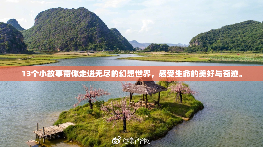 13个小故事带你走进无尽的幻想世界，感受生命的美好与奇迹。