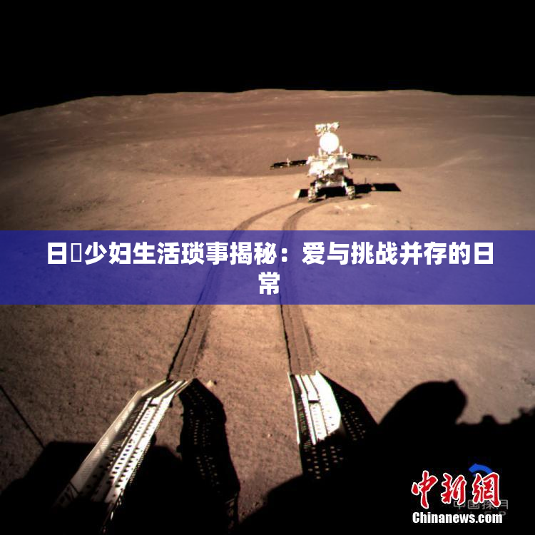 日夲少妇生活琐事揭秘：爱与挑战并存的日常