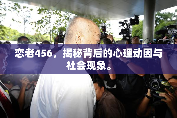 恋老456，揭秘背后的心理动因与社会现象。