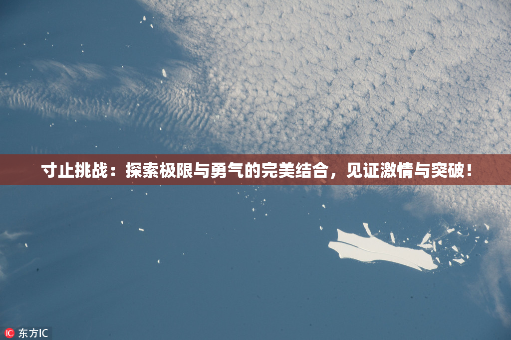 寸止挑战：探索极限与勇气的完美结合，见证激情与突破！