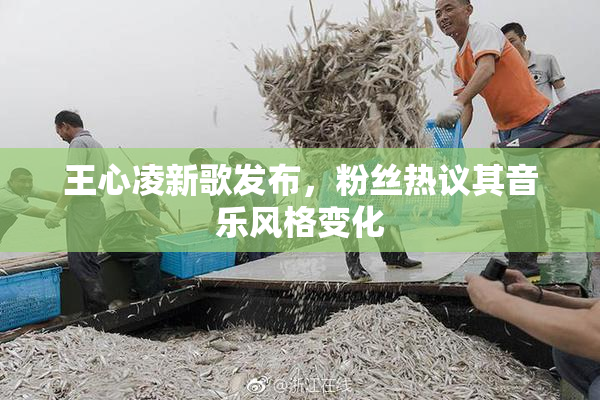 王心凌新歌发布，粉丝热议其音乐风格变化