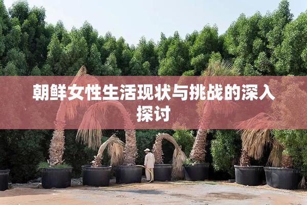 朝鲜女性生活现状与挑战的深入探讨
