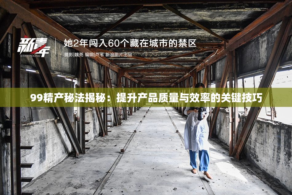 99精产秘法揭秘：提升产品质量与效率的关键技巧