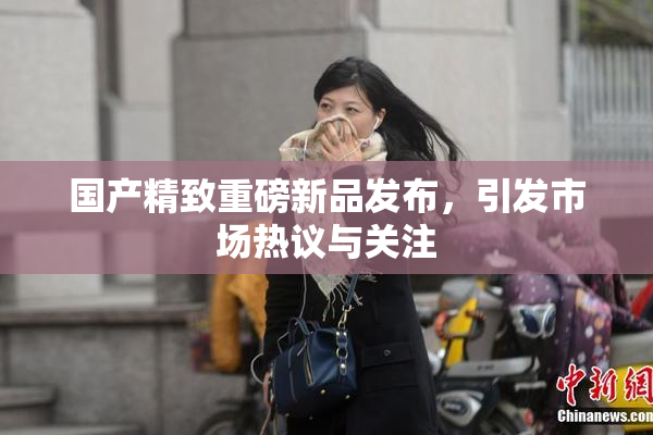国产精致重磅新品发布，引发市场热议与关注