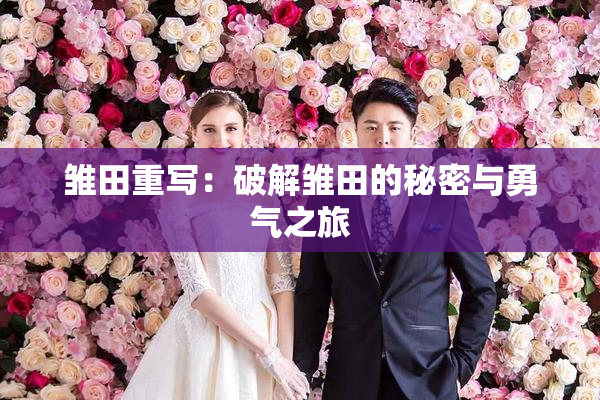 雏田重写：破解雏田的秘密与勇气之旅