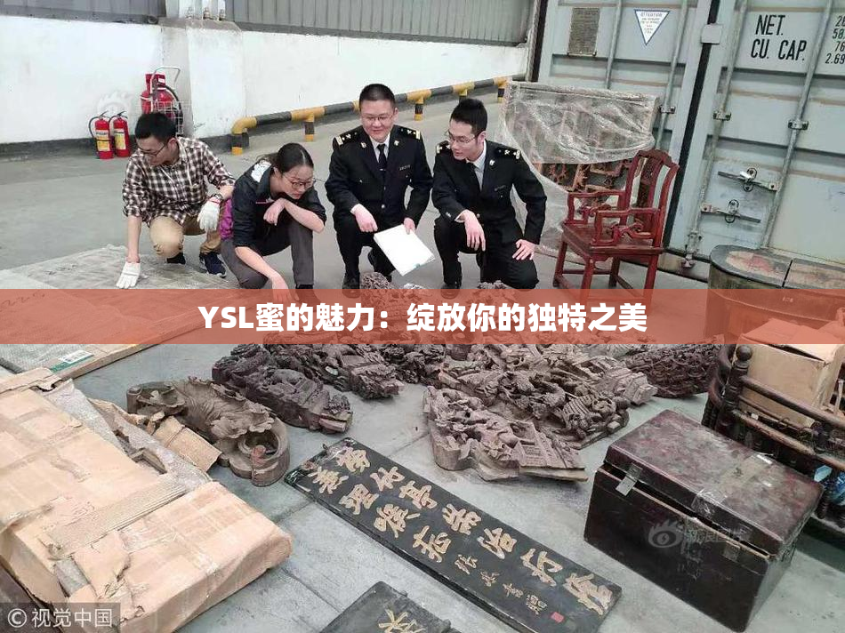 YSL蜜的魅力：绽放你的独特之美