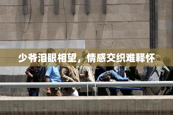 少爷泪眼相望，情感交织难释怀