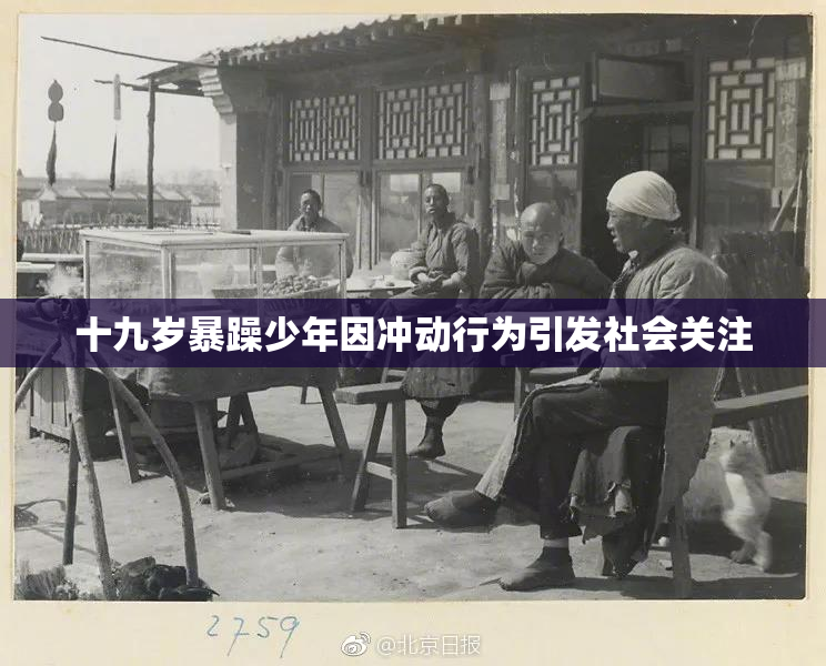 十九岁暴躁少年因冲动行为引发社会关注