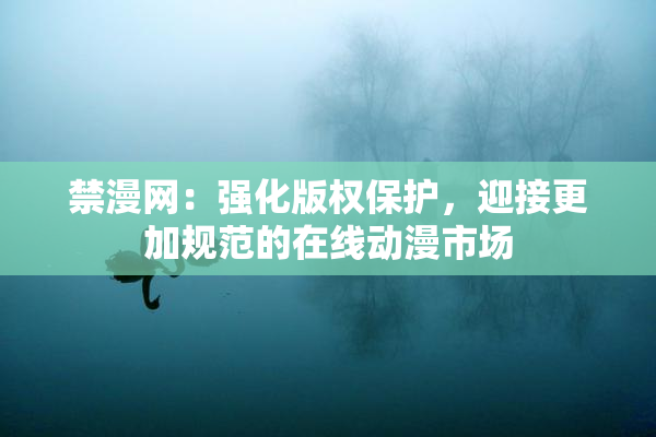 禁漫网：强化版权保护，迎接更加规范的在线动漫市场