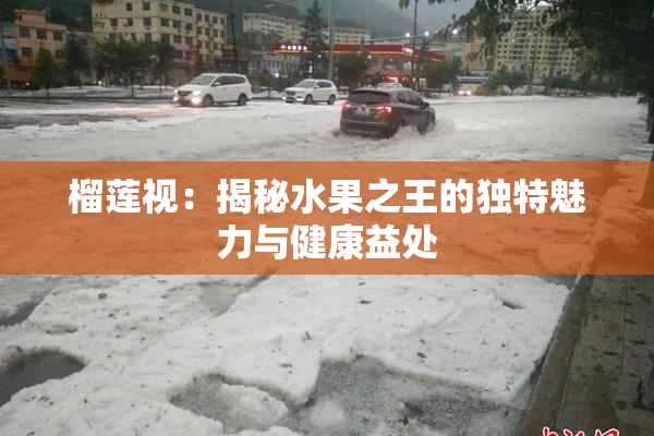 榴莲视：揭秘水果之王的独特魅力与健康益处