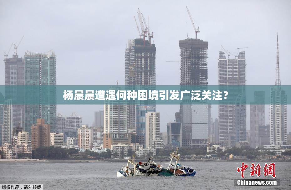 杨晨晨遭遇何种困境引发广泛关注？