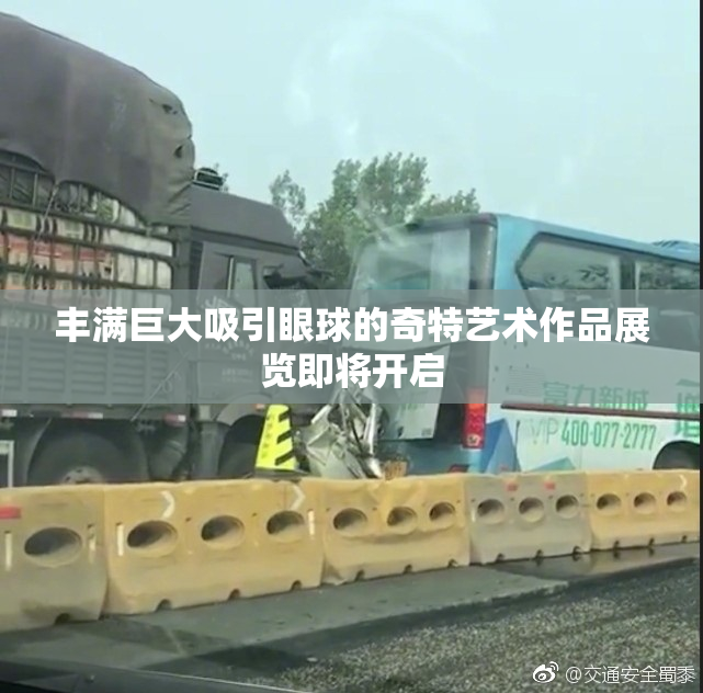 丰满巨大吸引眼球的奇特艺术作品展览即将开启