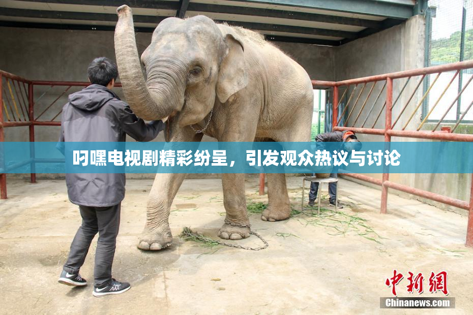 叼嘿电视剧精彩纷呈，引发观众热议与讨论