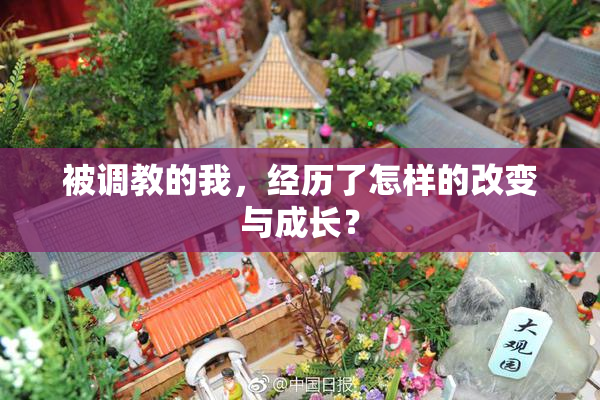 被调教的我，经历了怎样的改变与成长？