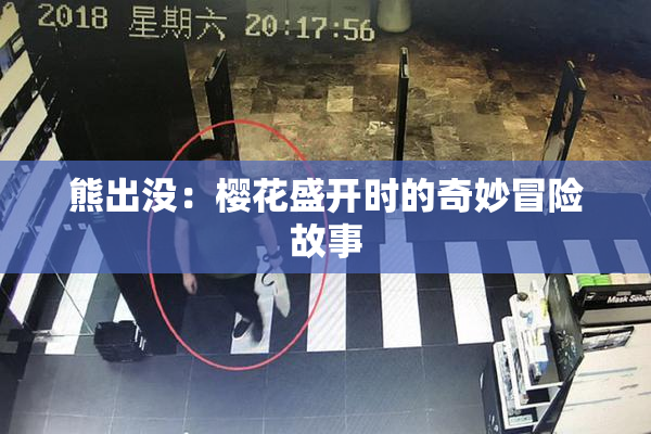 熊出没：樱花盛开时的奇妙冒险故事